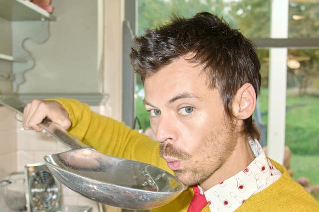 <p>Harry Styles is full of curiosity on his new single, 'Aperture'</p>