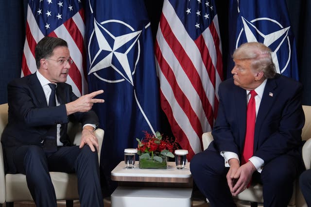 <p>Donald Trump met Nato secretary-general Mark Rutte, left, on the fringes of the World Economic Forum in Davos </p>