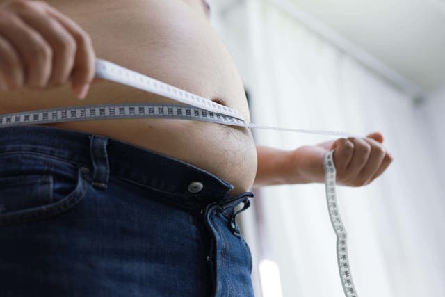 <p>Researchers found some belly fat could be helping the body fight infections</p>