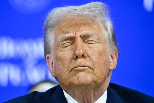 <p>‘Trump’s passing reference to Denmark’s short-lived resistance to the Nazis shows that such ingrained historical truth outweighs the more recent Danish losses in the US-led intervention in Afghanistan – especially, but perhaps not exclusively, to Americans of Trump’s generation’</p>