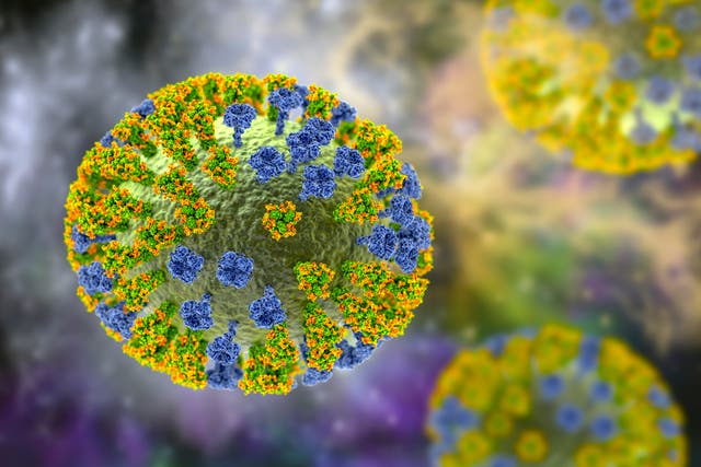 <p>This year, the most prevalent variant is subclade K, which is a subtype of influenza H3N2.</p>