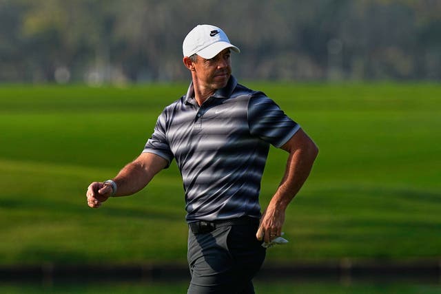 <p>Rory McIlroy believes a deal between LIV Golf and the PGA Tour is not on the horizon (Fatima Shbair/AP)</p>