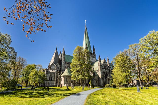 <p>Delve into Norway’s fascinating history with a cruise that takes you to diverse locales boasting fascinating sites and immerses you in local communities  </p>