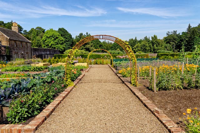 <p>The longer days and warmer temperatures are perfect for getting out into nature </p>