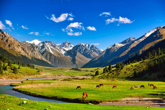 <p>Our travel experts recommend some of the best places to visit in the coming year </p>