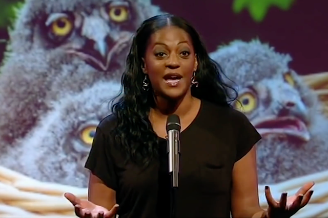 <p>Ava Vidal on Mock the Week</p>